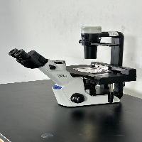 Olympus CKX53 Inverted Microscope image 1